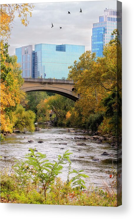 Landscape Acrylic Print featuring the photograph Brandywine Creek by Trina Ansel