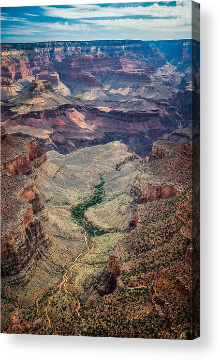 Bright Acrylic Print featuring the photograph Bright Angel Trail by Chris Bordeleau