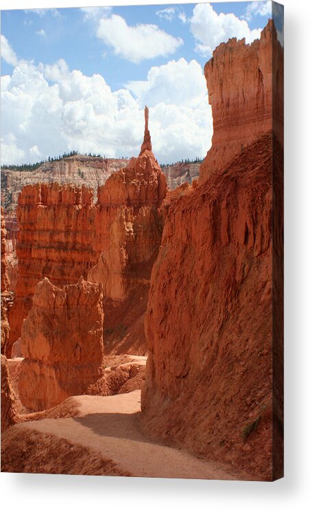  Acrylic Print featuring the photograph Bryce Canyon 3 by Jon Emery