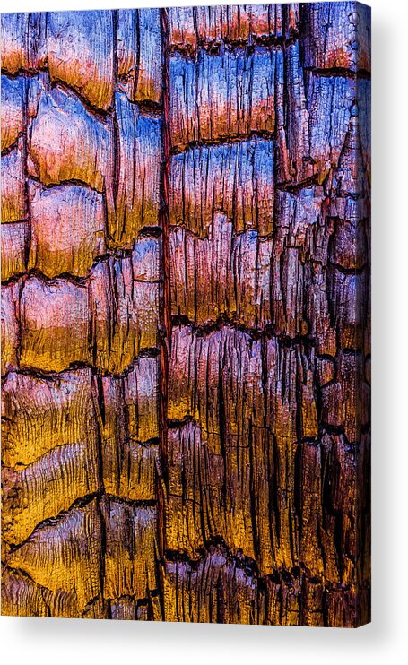 Tree Acrylic Print featuring the photograph Burnt Tree Detail by Alexander Kunz