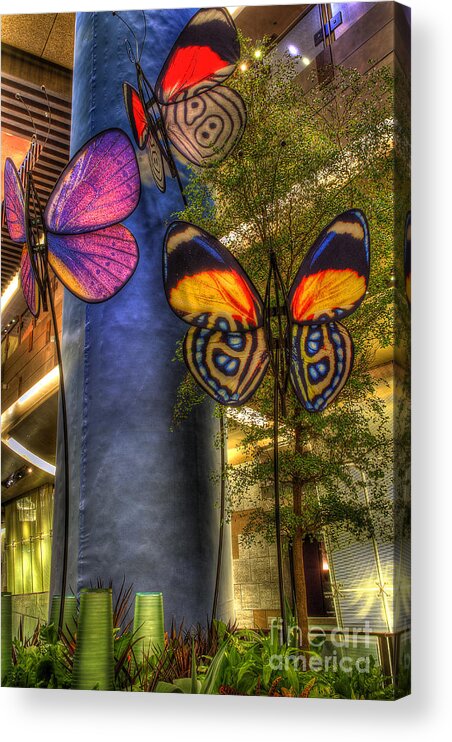 Butterfilies Acrylic Print featuring the photograph Butterflies Are Free by Mathias 