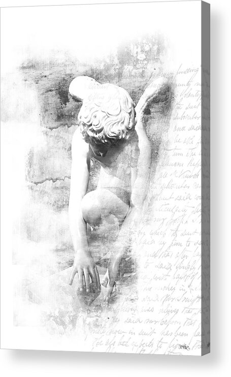 Cherub Acrylic Print featuring the photograph Butterfly and Rose Louvre Paris France by Evie Carrier