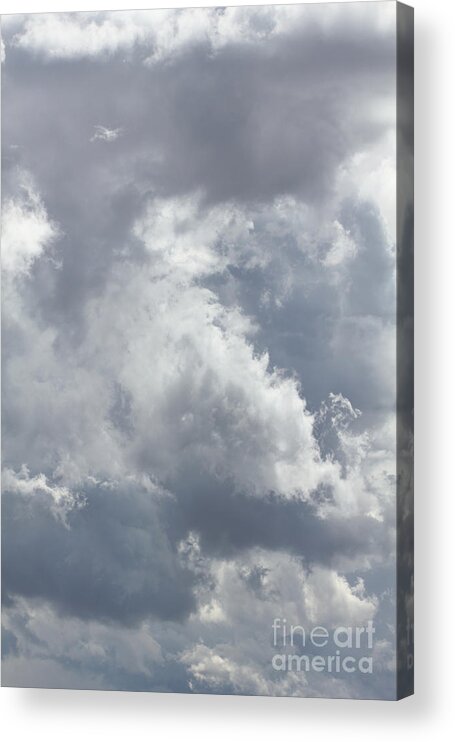 Portrait Acrylic Print featuring the photograph Calgary Clouds 1 by Donna L Munro