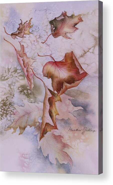 Canadian Maple Leaves Acrylic Print featuring the painting Canadian Maple by Heather Gallup