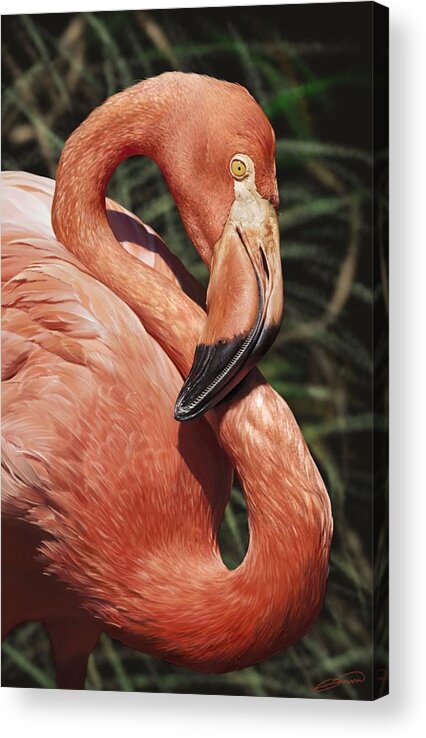 Bird Acrylic Print featuring the digital art Caribbean Flamingo by Owen Bell