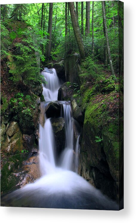 Cascading Acrylic Print featuring the photograph Cascading Brook by White Mountain Images