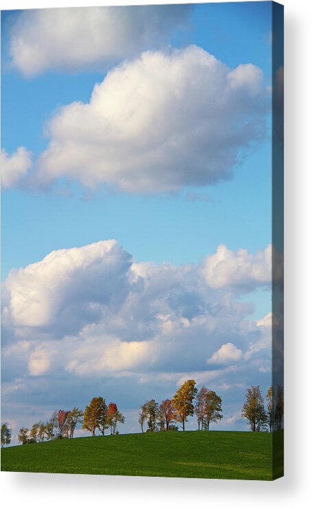 Tranquility Acrylic Print featuring the photograph Changing Fall Trees On A Hilltop by Matt Champlin