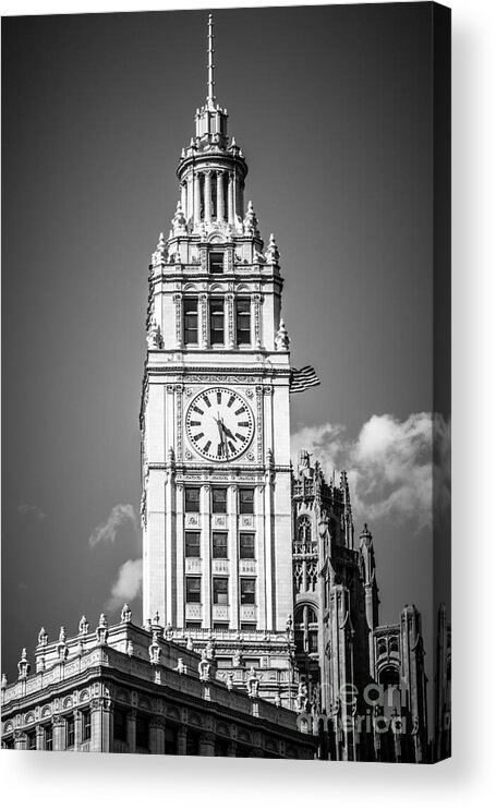 America Acrylic Print featuring the photograph Chicago Wrigley Building Clock Black and White Picture by Paul Velgos