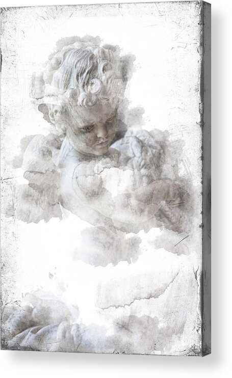 Cherub Acrylic Print featuring the photograph Child Cherub by Evie Carrier