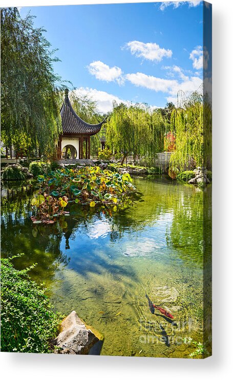 Chinese Garden Acrylic Print featuring the photograph Chinese Garden Lake by Jamie Pham