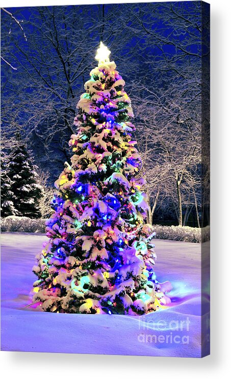 Christmas Acrylic Print featuring the photograph Christmas tree in snow by Elena Elisseeva