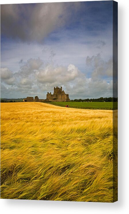 Photography Acrylic Print featuring the photograph Cistercian Dunbrody Abbey 1182 by Panoramic Images