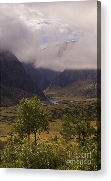 Tree Acrylic Print featuring the photograph Clark's Fork Canyon by J L Woody Wooden