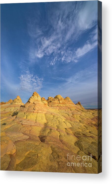 00431241 Acrylic Print featuring the photograph Colorado Plateau Coyote Buttes Arizona by Yva Momatiuk and John Eastcott