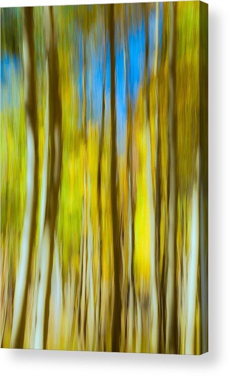 Fall Acrylic Print featuring the photograph Colors of the Fall by Jonathan Nguyen