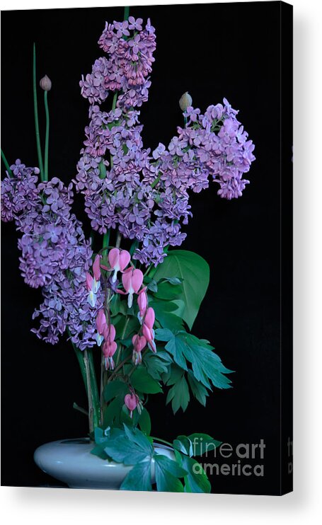 Lilacs Acrylic Print featuring the photograph Colors of the Heart by Mary Lou Chmura