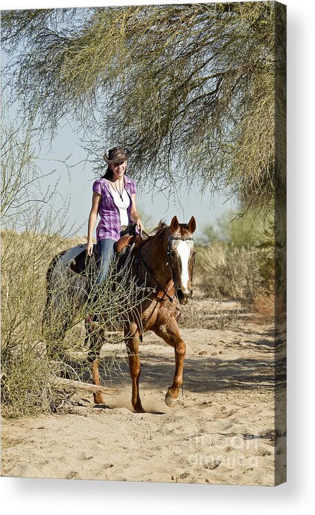 Horse Acrylic Print featuring the photograph Coming Through the Wash by Kathy McClure