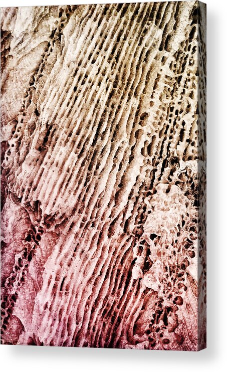 Coral Acrylic Print featuring the photograph Coral Rock Close Up by Photography By Sai
