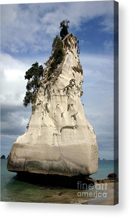 Coromandel Rock Acrylic Print featuring the photograph Coromandel Rock by Barbie Corbett-Newmin