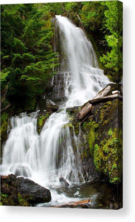 Cougar Falls Acrylic Print featuring the photograph Cougar Falls by Tikvah's Hope