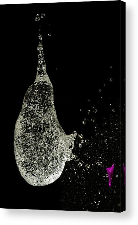 Water Balloons Acrylic Print featuring the photograph Cough by Karen Celella