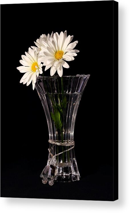 Daisies Acrylic Print featuring the photograph Daisies In Vase by Tracie Schiebel