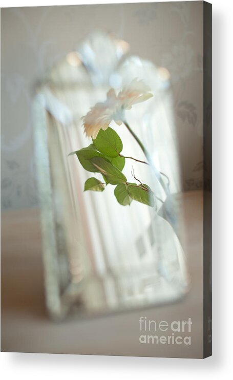 Mirror Acrylic Print featuring the photograph Daisy in the mirror by Aiolos Greek Collections