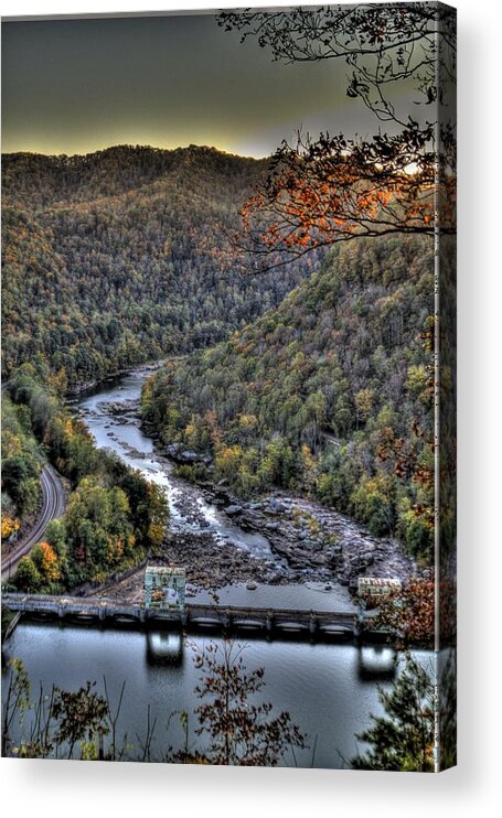 River Acrylic Print featuring the photograph Dam in the Forest by Jonny D