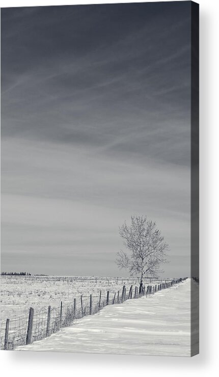 2015 Acrylic Print featuring the photograph Days Turn Into Months by Sandra Parlow