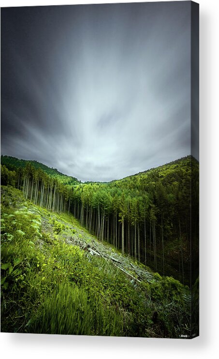 Tranquility Acrylic Print featuring the photograph Deep Forest by By Alain Wallior Artworks On Facebook / Flickr / 500px
