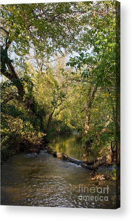 Creek Acrylic Print featuring the photograph Deep Run Maryland by Chris Scroggins