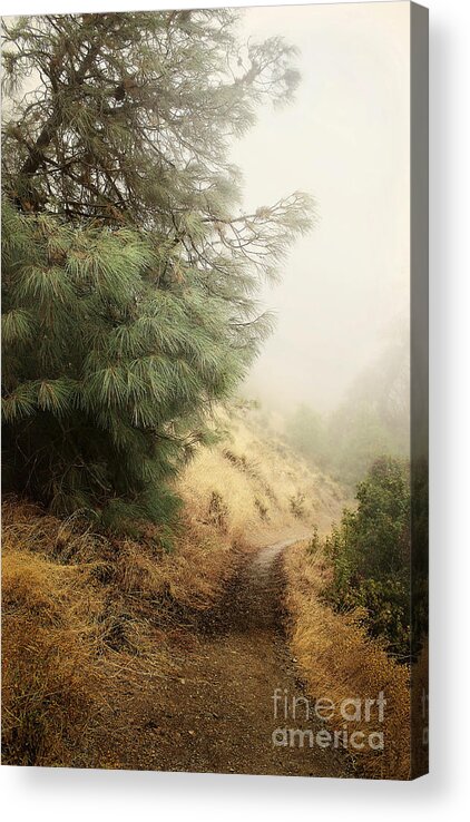 Fog Acrylic Print featuring the photograph There and Back Again by Ellen Cotton