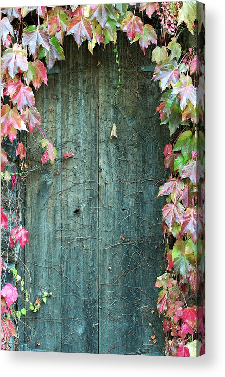 Outdoors Acrylic Print featuring the photograph Door To Secret Garden by Sharon Lapkin