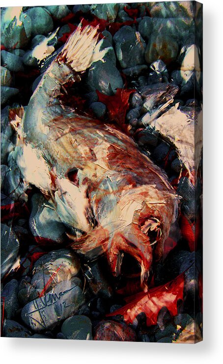 Fish Print Painting Digital Canvas Acrylic Metal Metalprint Acrylicprint Canvasprint Art Acrylic Print featuring the digital art Downward Spiral by Jim Vance