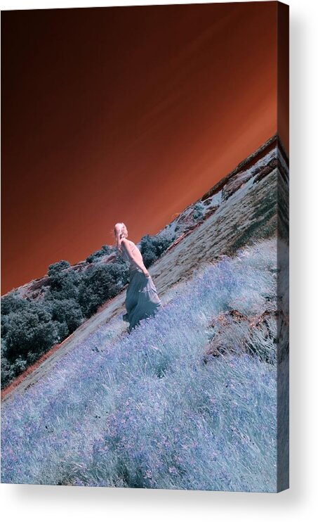 Dream Acrylic Print featuring the photograph Dreaming Princess by Rebecca Parker