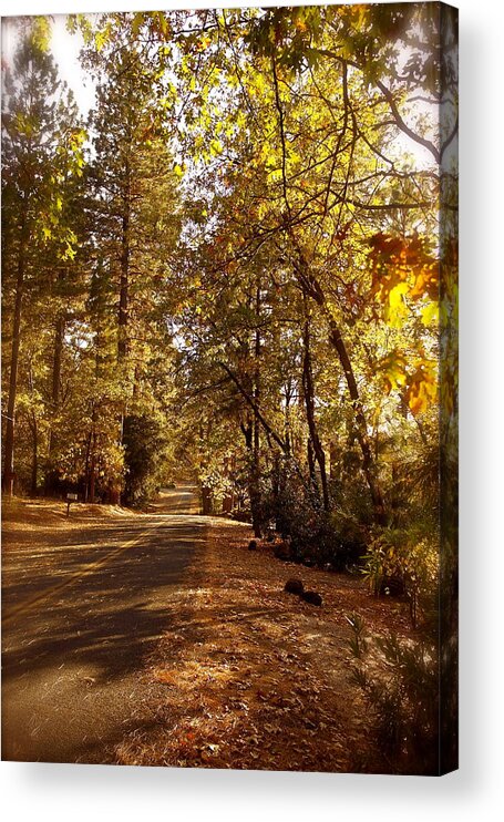 Country Lane Acrylic Print featuring the photograph Dreamy Autumn Lane by Michele Myers