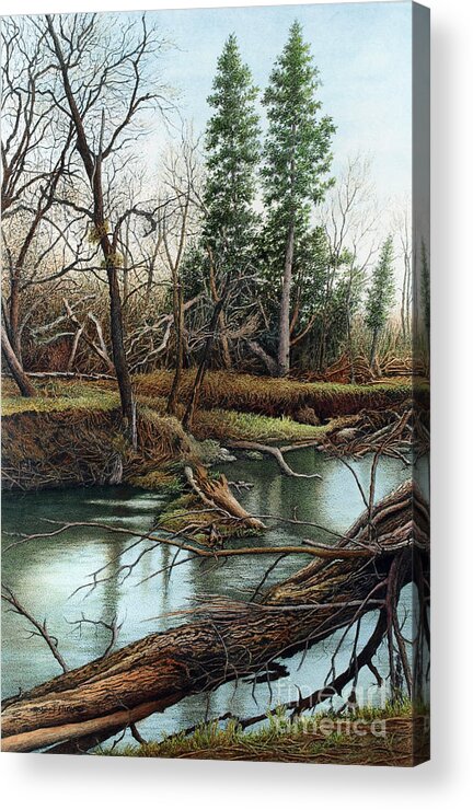 Ontario Acrylic Print featuring the painting Duffins Creek IV by Robert Hinves