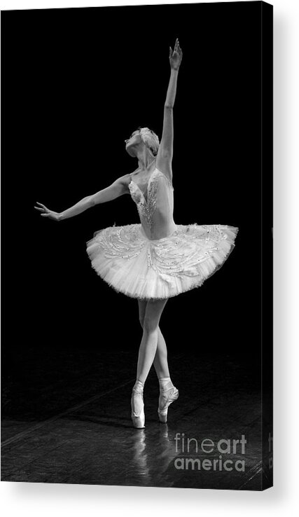 Clare Bambers Acrylic Print featuring the photograph Dying Swan 9. by Clare Bambers