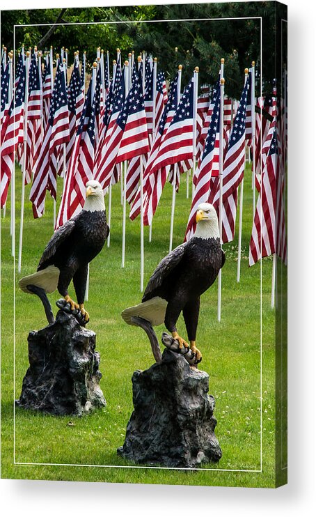 Eagles Acrylic Print featuring the photograph Eagles and Flags on Memorial Day by Mick Anderson