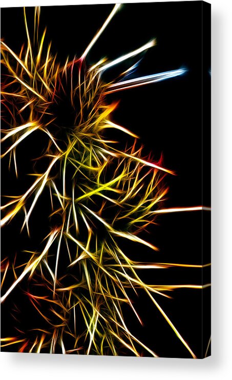 Cactus Buds Acrylic Print featuring the photograph Electric Cactus by Winnie Chrzanowski