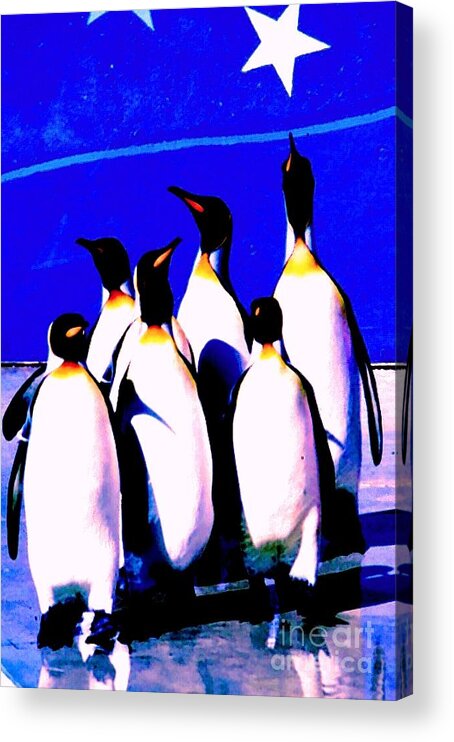 Iphone Cases Acrylic Print featuring the photograph Emperor Has No Clothes by Phillip Allen