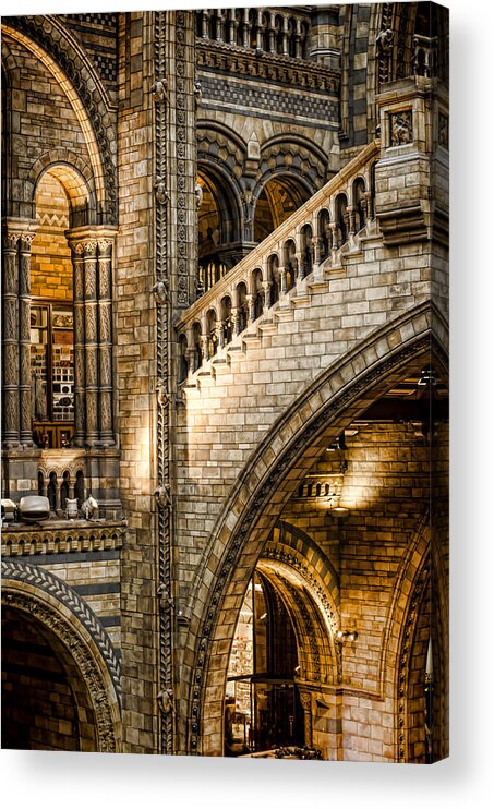 Architecture Acrylic Print featuring the photograph Escheresq by Heather Applegate