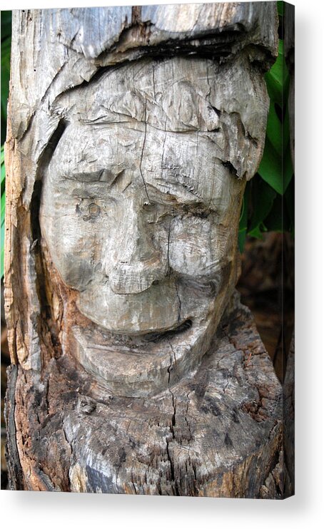 Nature Acrylic Print featuring the photograph Face in a tree by Amy Fose