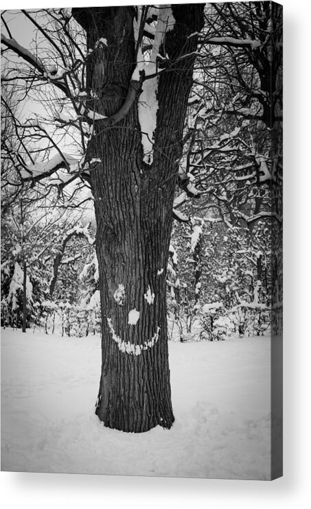 Winter Acrylic Print featuring the photograph Face Of The Winter by Andreas Berthold