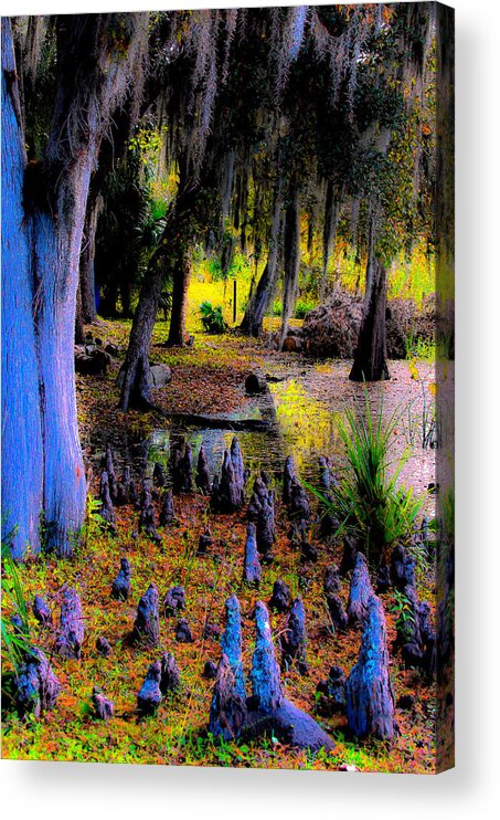 Abstract Acrylic Print featuring the photograph Fairyland of Gnomes by DigiArt Diaries by Vicky B Fuller