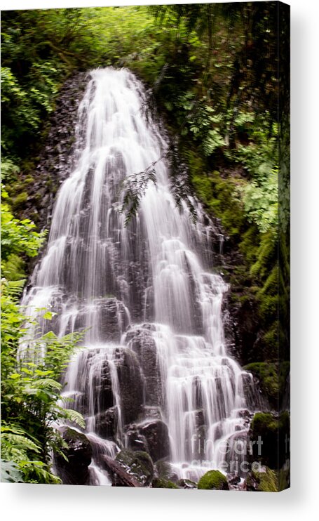 Fairy Falls Acrylic Print featuring the photograph Fairy's Playground by Suzanne Luft