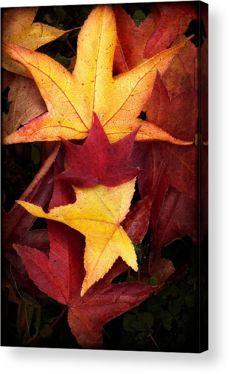  Acrylic Print featuring the photograph Fall Colors by Bobbi Feasel