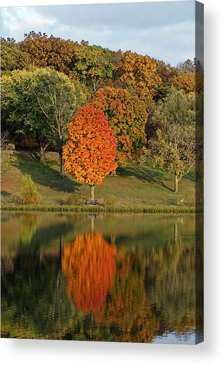 Fall Colors Acrylic Print featuring the photograph Fall Colors Reflection by Alan Hutchins