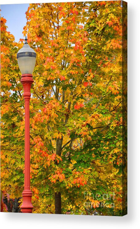 Lamppost Acrylic Print featuring the photograph Fall Lamppost by Kirt Tisdale