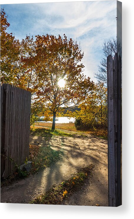 Fall Acrylic Print featuring the photograph Fall Through the Gate by Kirkodd Photography Of New England